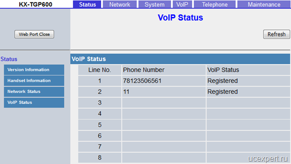 Рис. VoIP Status. Panasonic KX-TGP600.